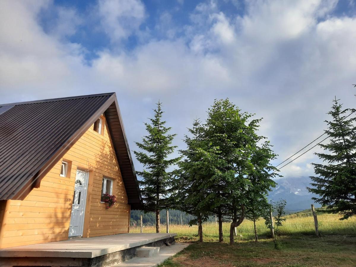 Vila Aleksandar Zabljak  Exterior photo
